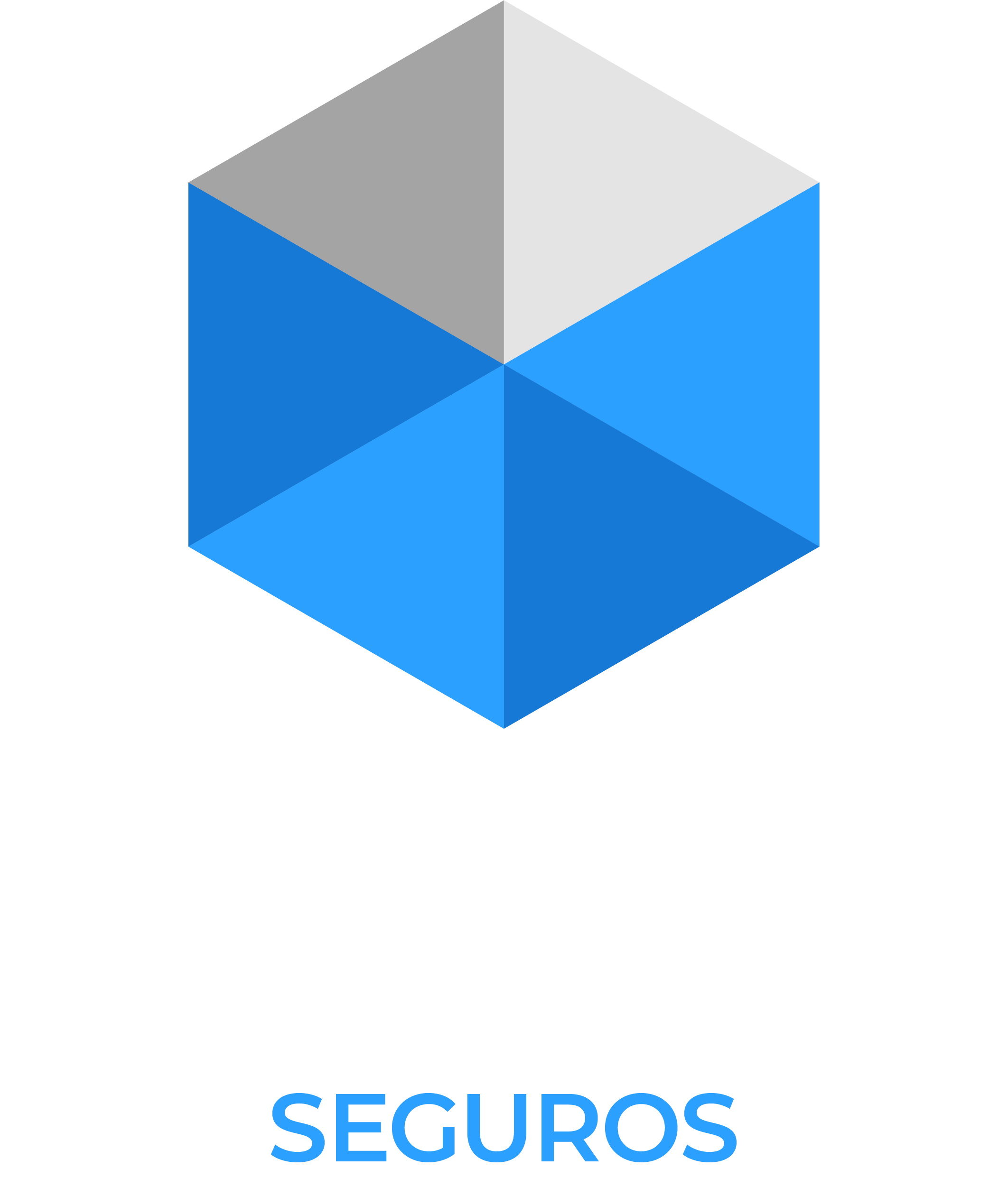 Roka Seguros Logo